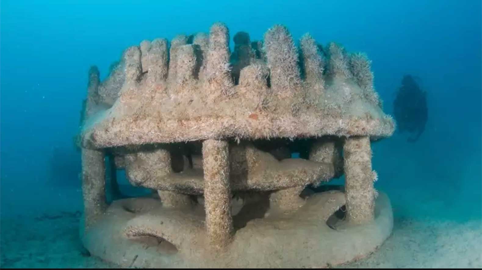 From Rust to Reef: How Artificial Reefs Benefit Marine Life and Coastal ... Biology Diagrams