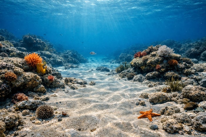 photographic Ocean floor highly detailed 8k photorealistic-3