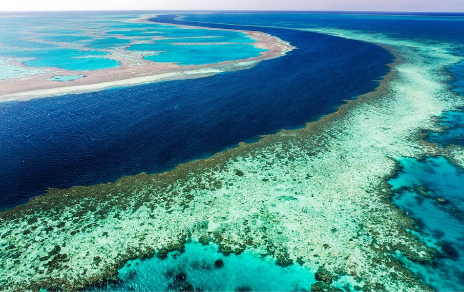 IMARCS Foundation’s Groundbreaking Study on Giant Clams and Carbon Sequestration is Officially Underway