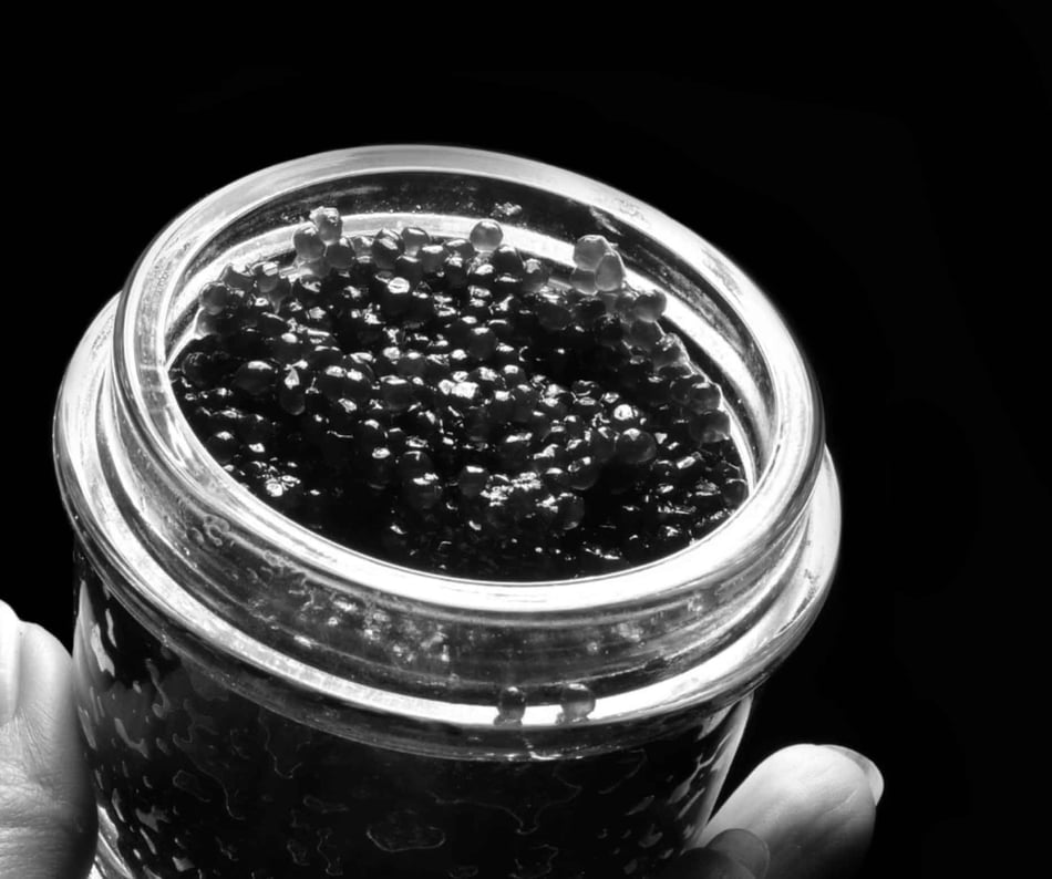 Decadence Meets Science: A Look Into the World of Caviar