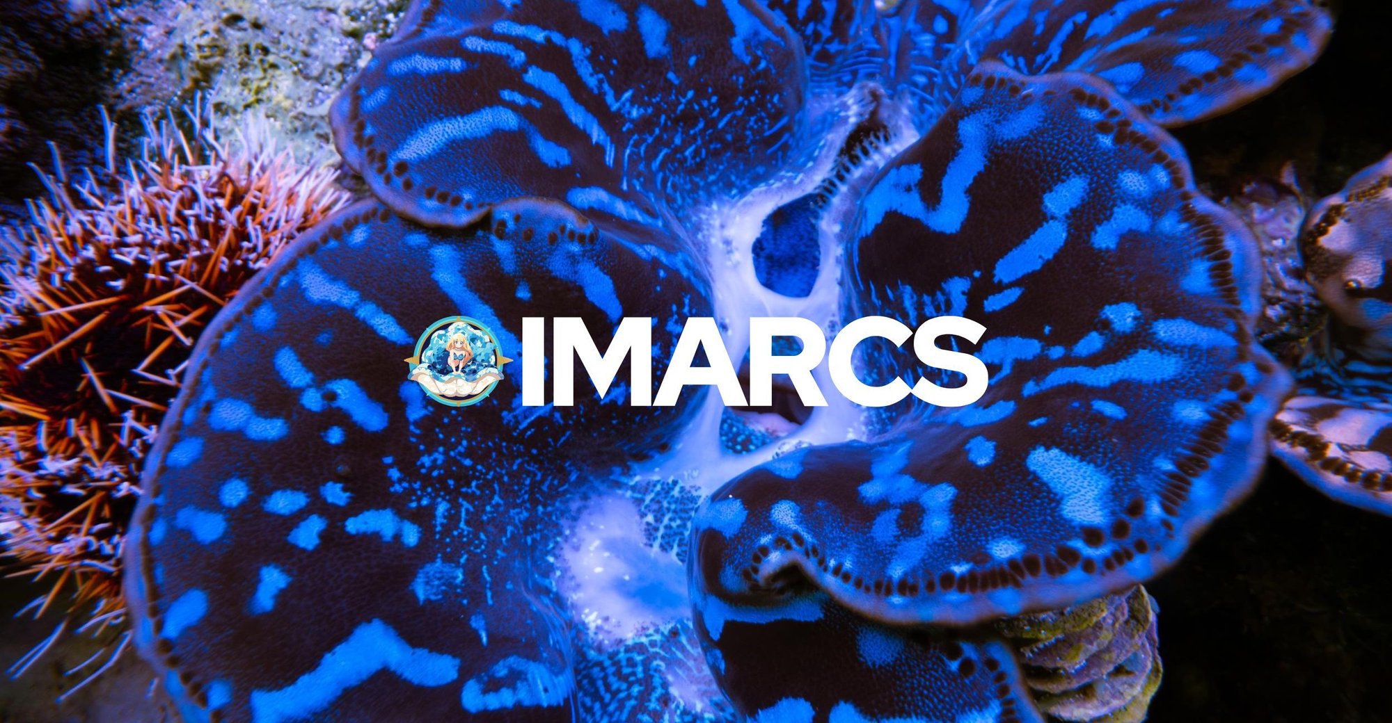 IMARCS Watermark Images