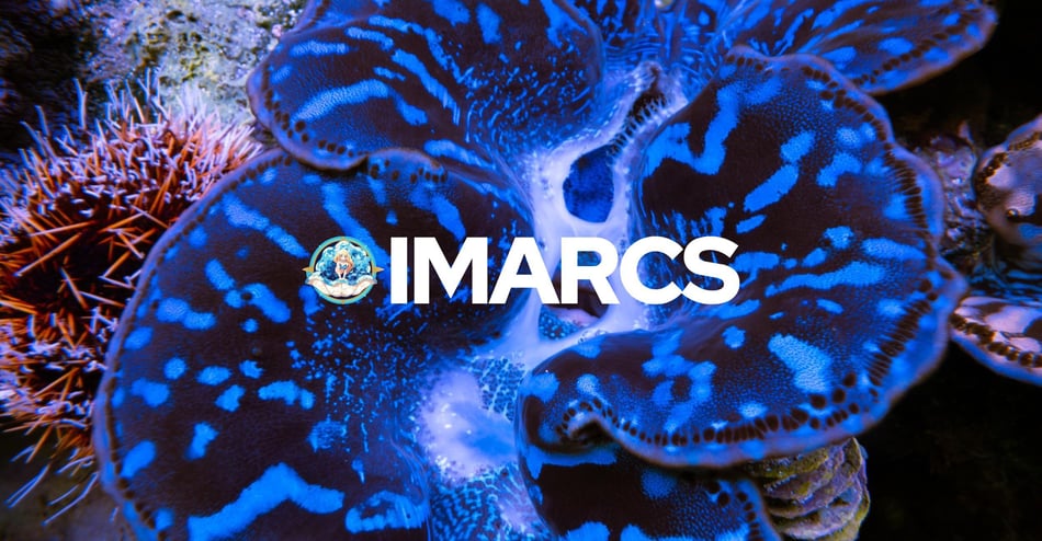 Update on the IMARCS Foundation's Mission and Current Research Programs