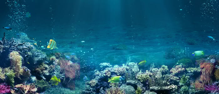 solution_seafloorprotection