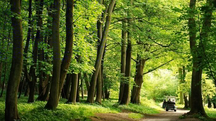 visitors-exploring-buggies-ashridge-estate-hertfordshire-1267016