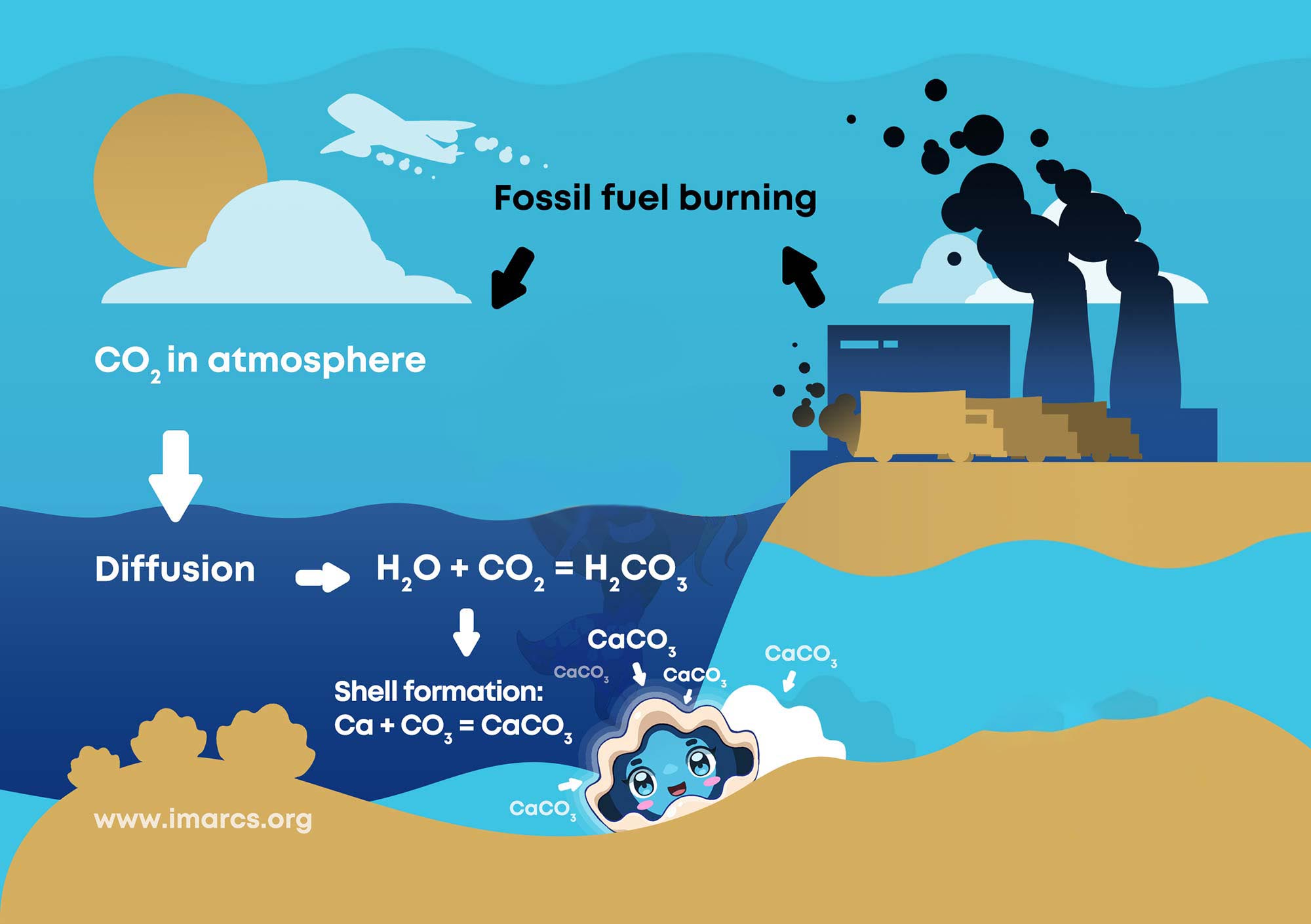 CO2-Emissions-Turned-Into-Giant-Clam-Shells-IMARCS-1